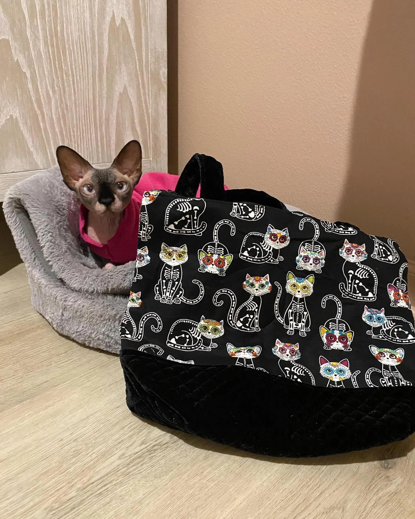 The night before we evacuated our home due to Hurricane Milton a package arrived at my door from a very dear friend. When I opened it, inside was this most beautiful bag she found that was handmade by @noodlesandprune. 

This bag means so much to me 