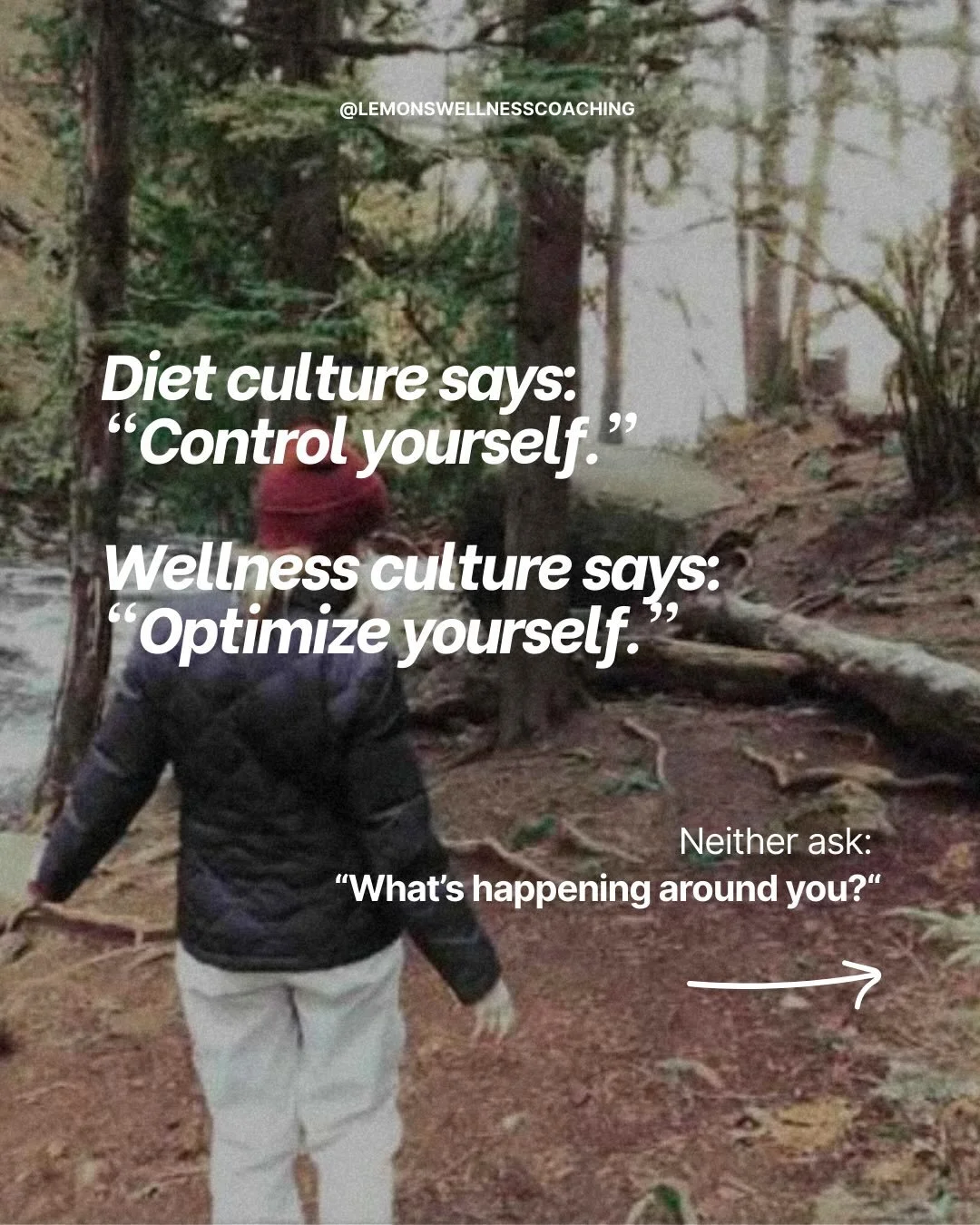 Diet and wellness culture often start with self-correction. 

But our bodies are not problems to be solved. They&rsquo;re information systems responding to their environment. 
Zooming out helps reduce shame. 
Resisting diet culture and the next welln