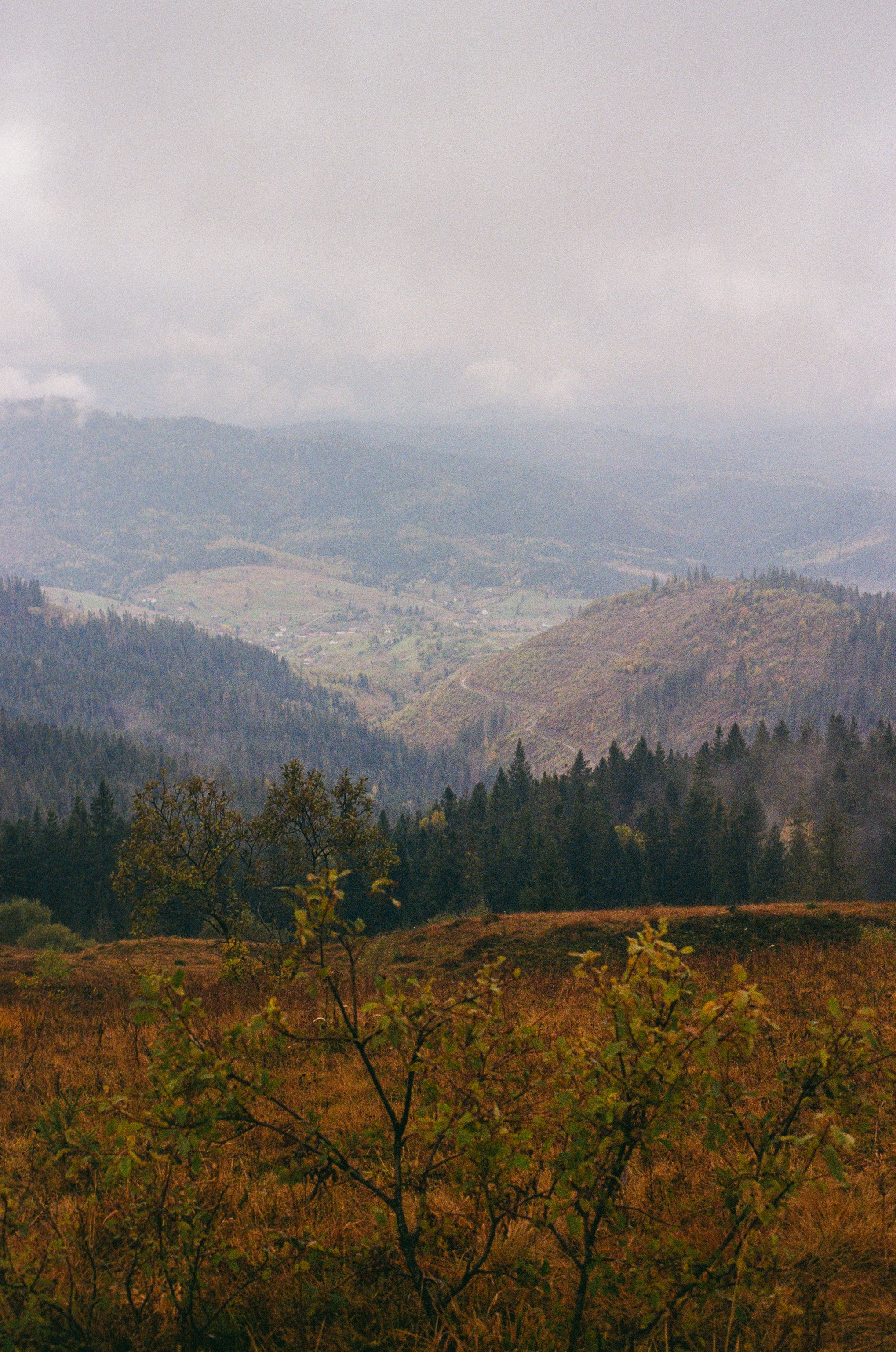 B02F187F-94D5-4487-BBCF-9C23120BA25E копія.jpg