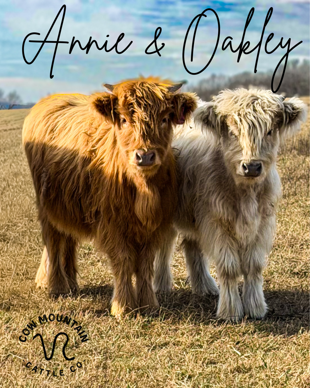 Annie & Oakley.png