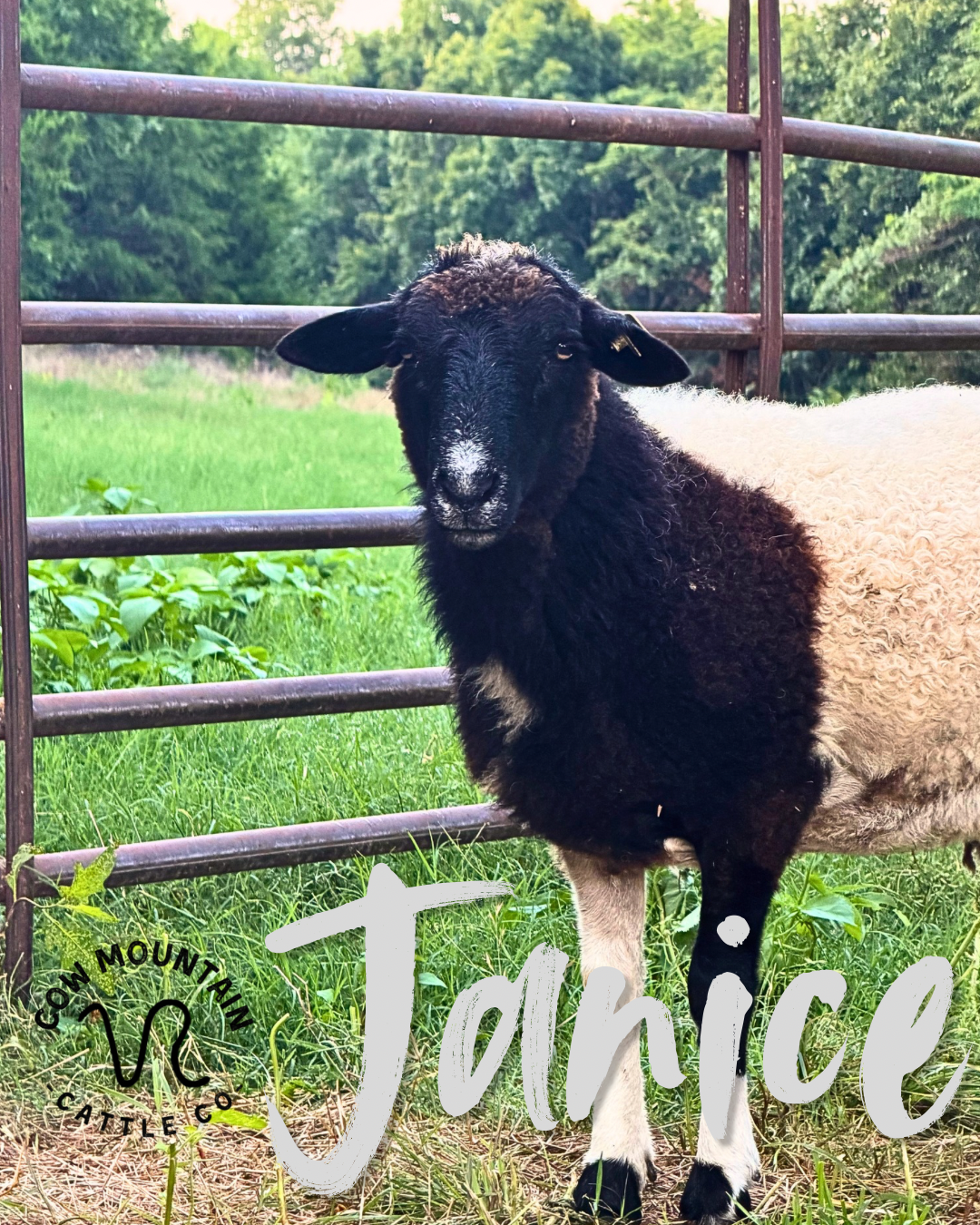 Janice