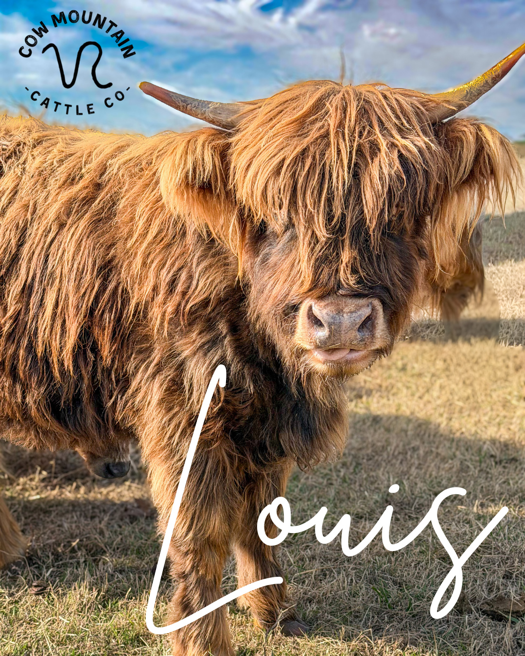 Louis.png