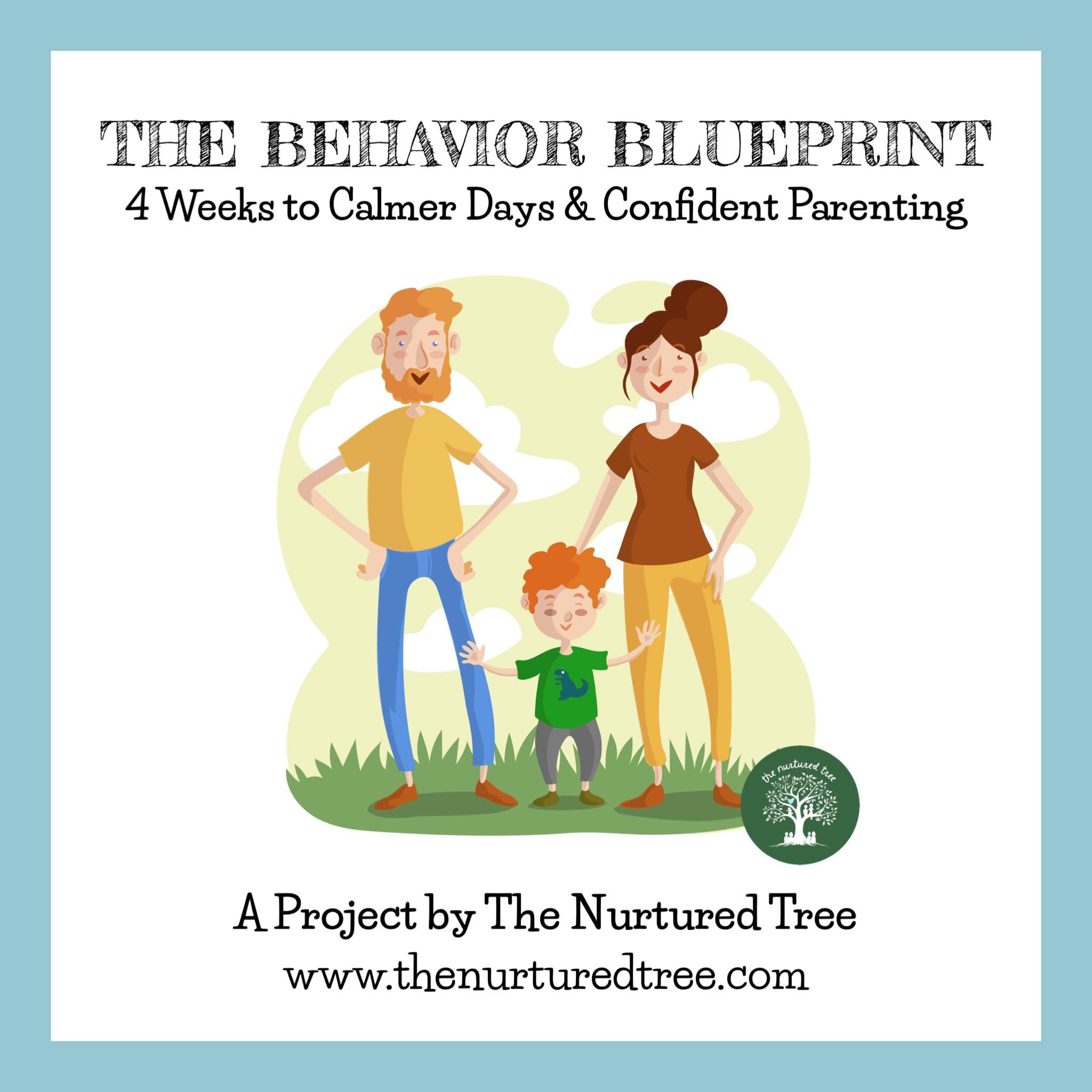 the behavior blueprint