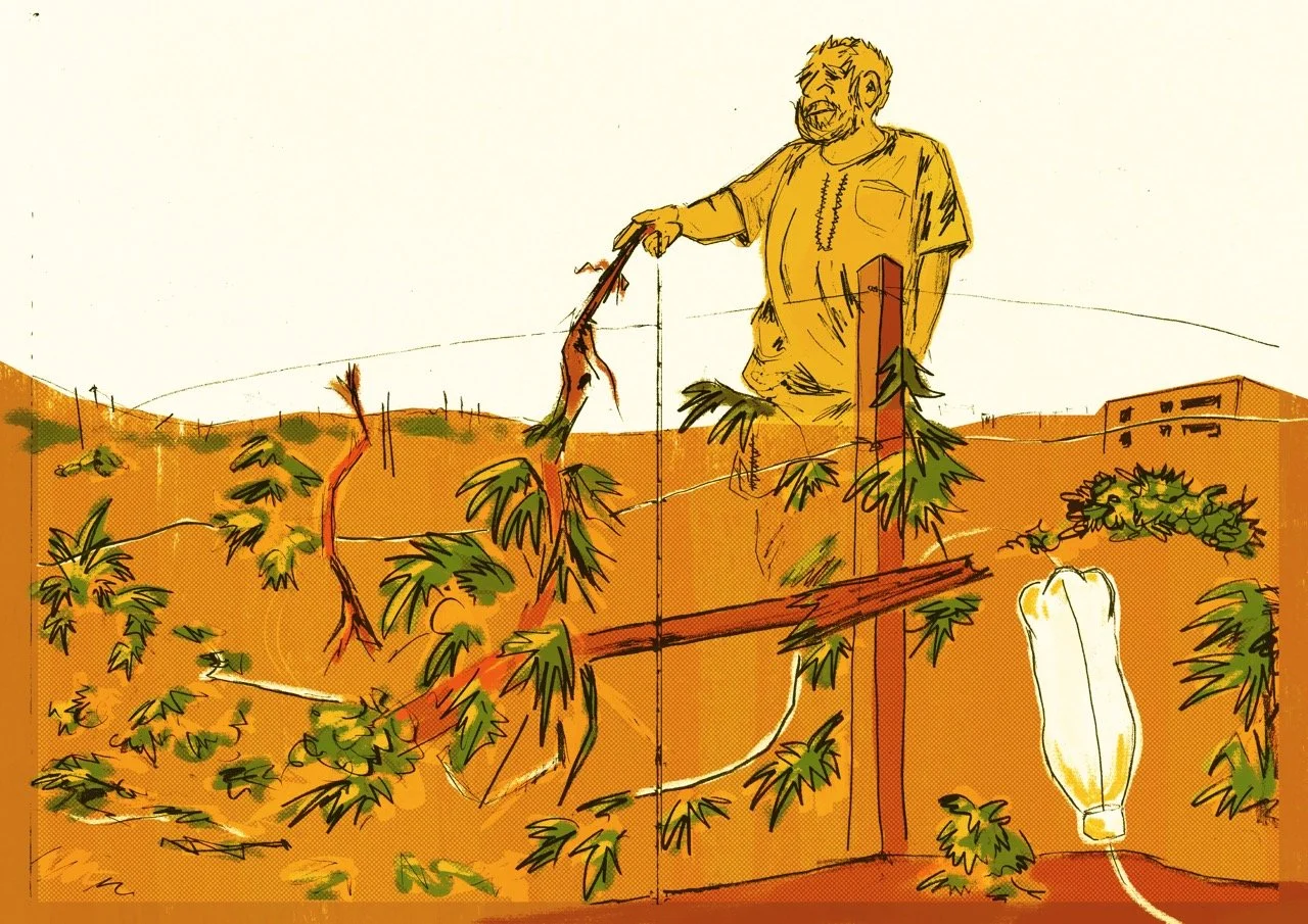 susiya coloured Large.jpeg