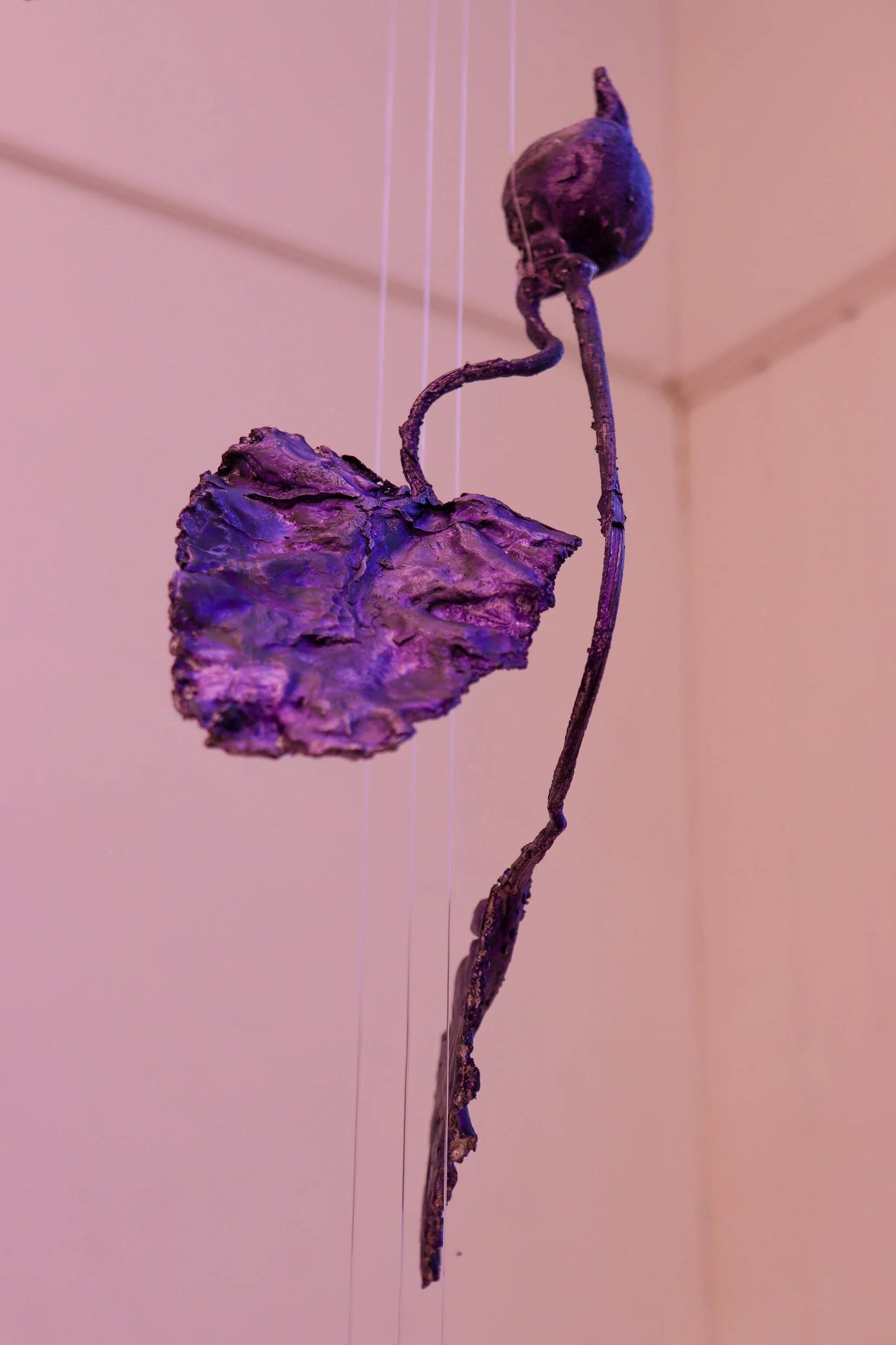 cast aluminium with violet dye oxide