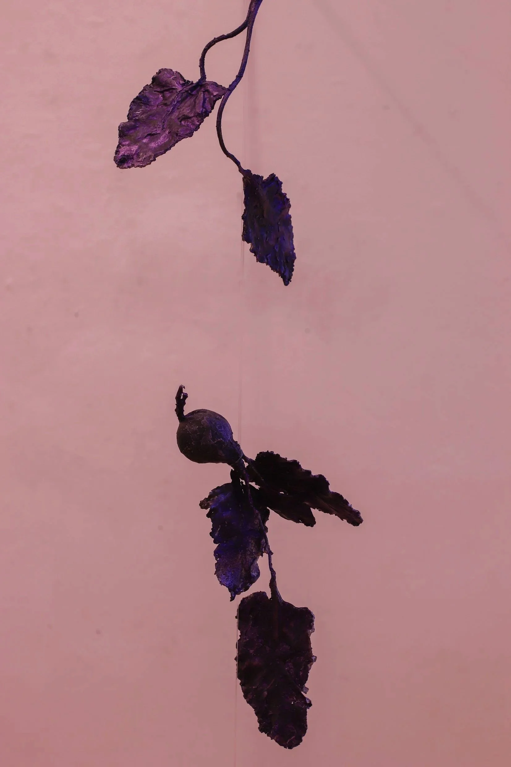 cast aluminium with violet dye oxide