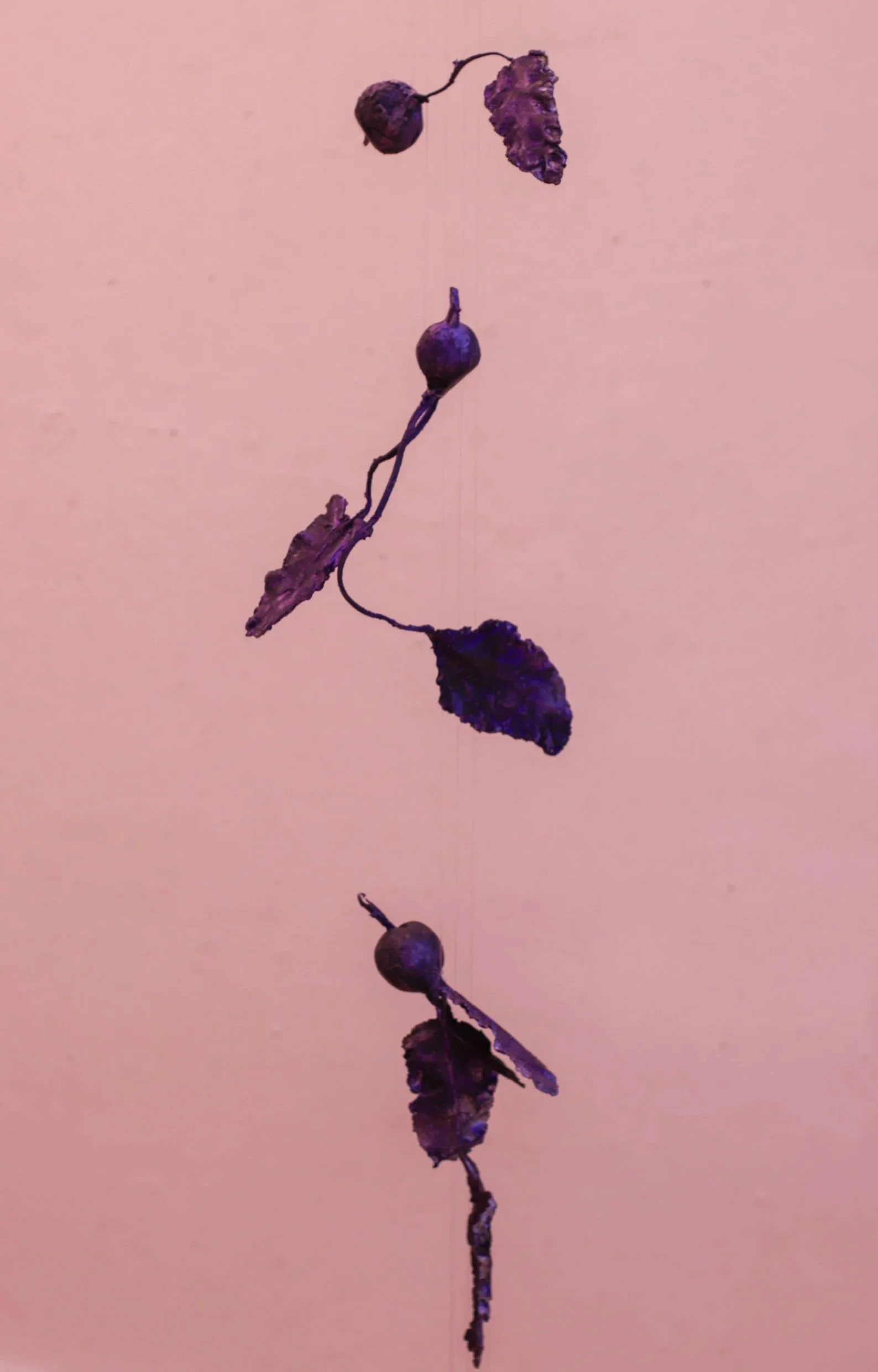 cast aluminium with violet dye oxide