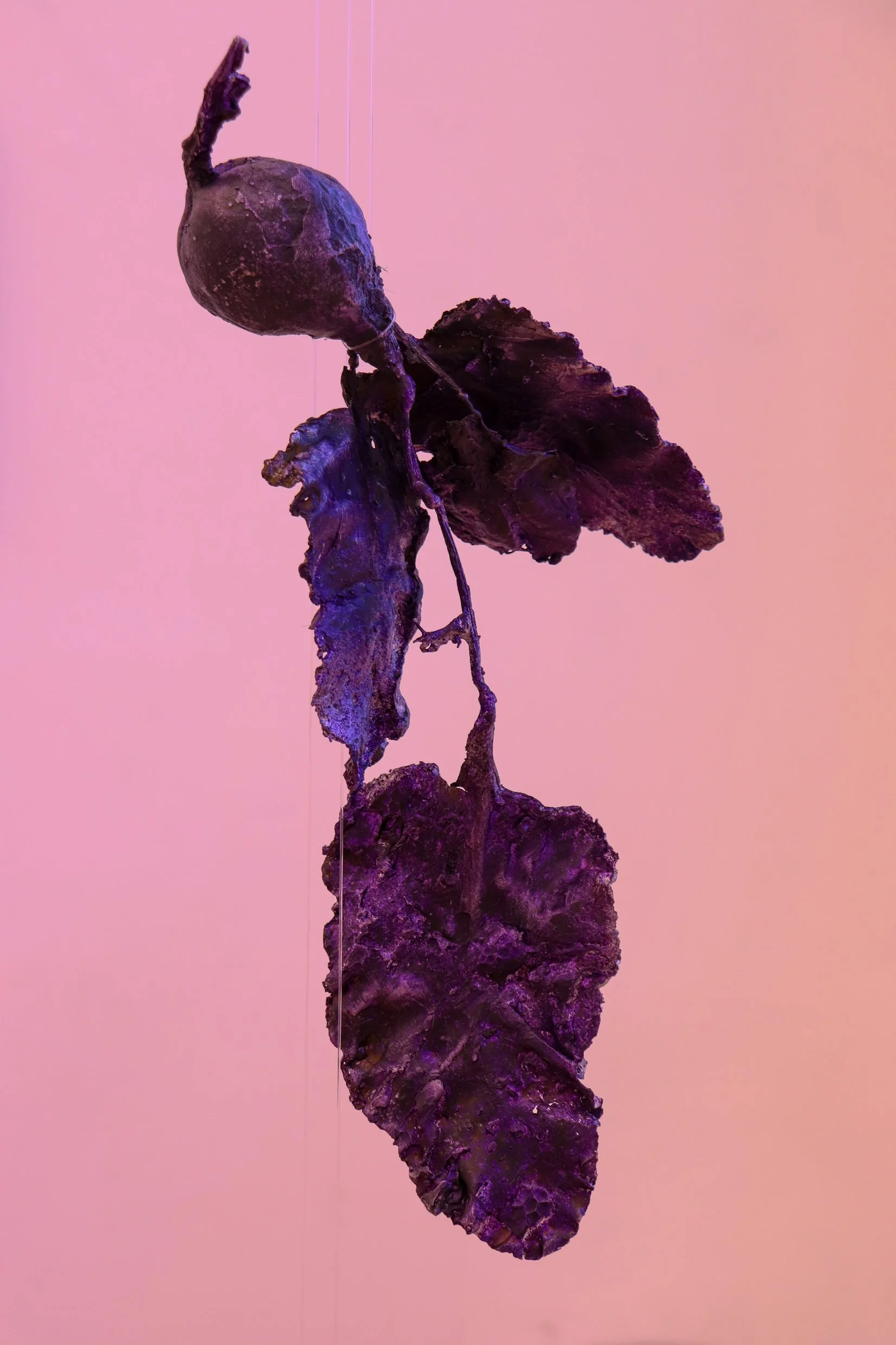 cast aluminium with violet dye oxide