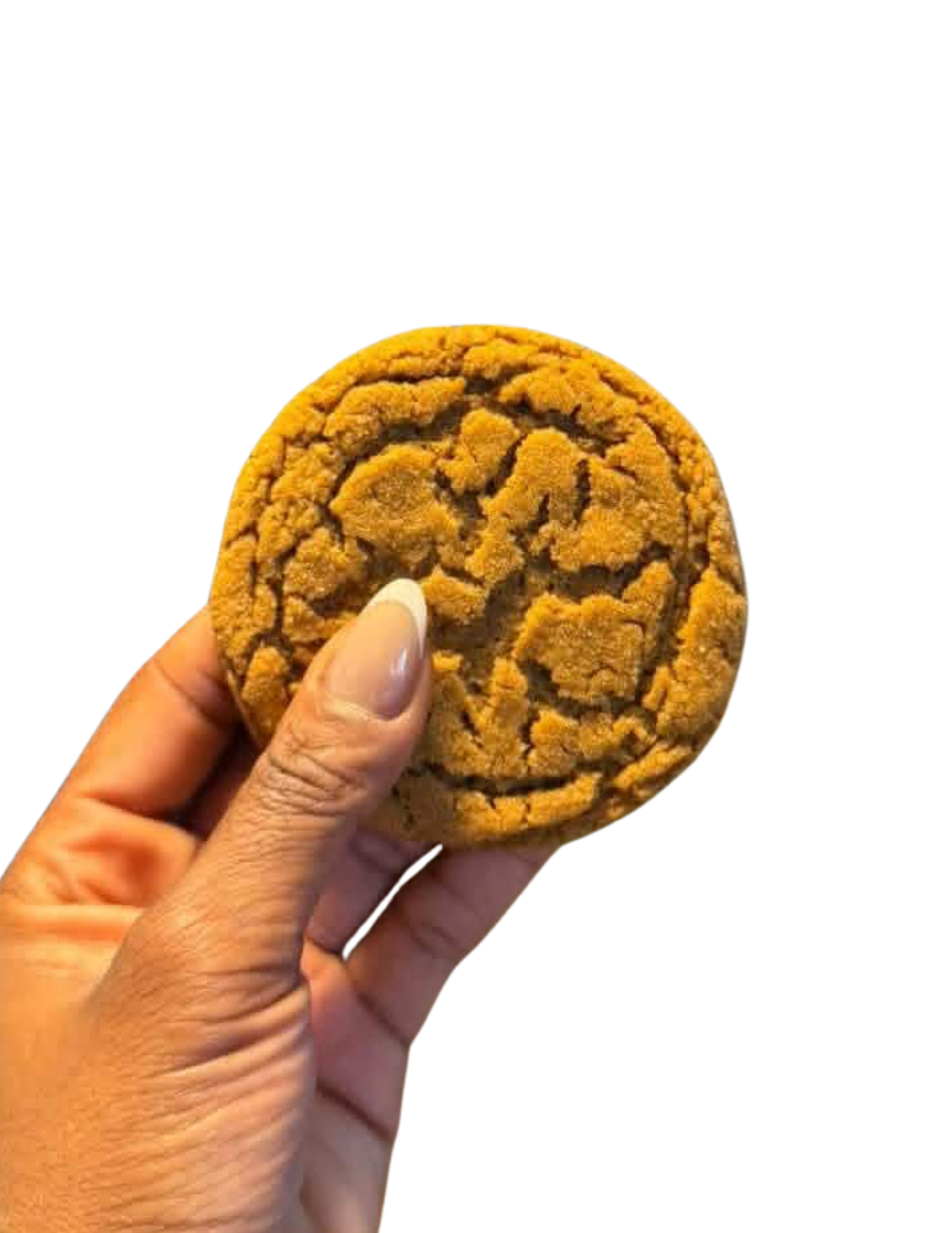 Gingerdoodle Cookies