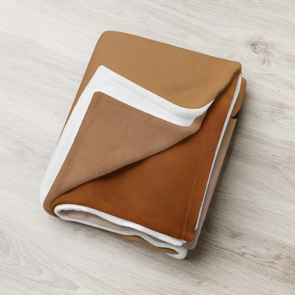 throw-blanket-50x60-lifestyle-2-6812dec98a1b4.png