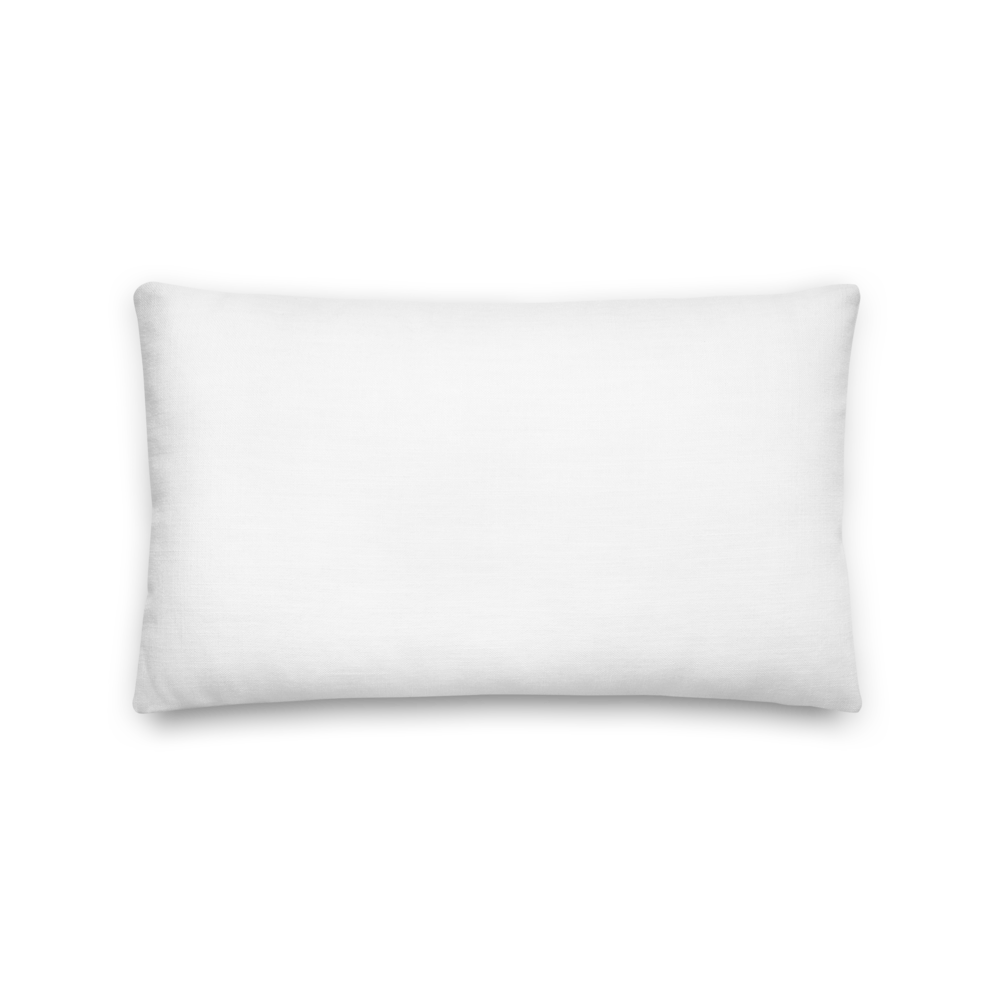 all-over-print-premium-pillow-20x12-back-681396cd26a1a.png