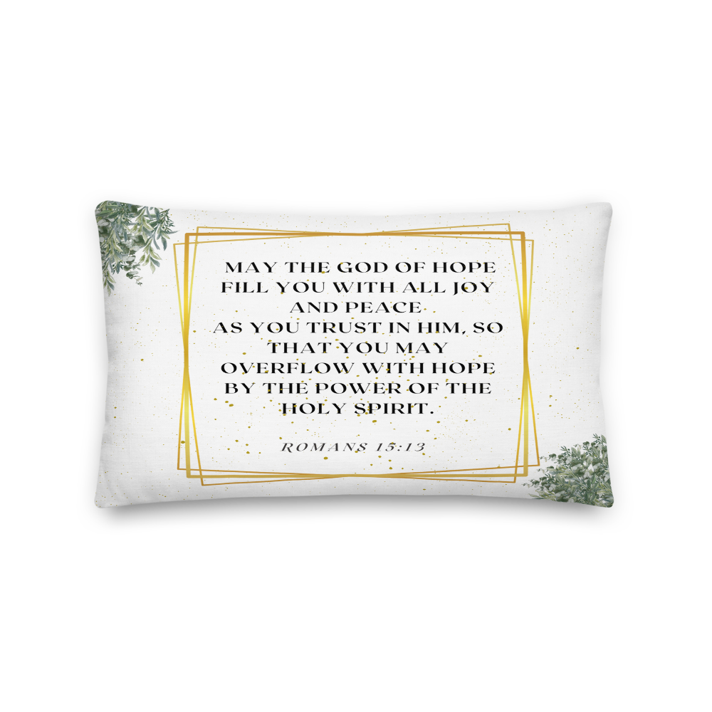all-over-print-premium-pillow-20x12-front-6817092e90069.png