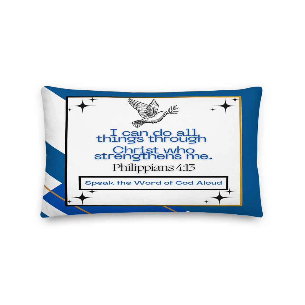 all-over-print-premium-pillow-20x12-front-681396cd262e6.png