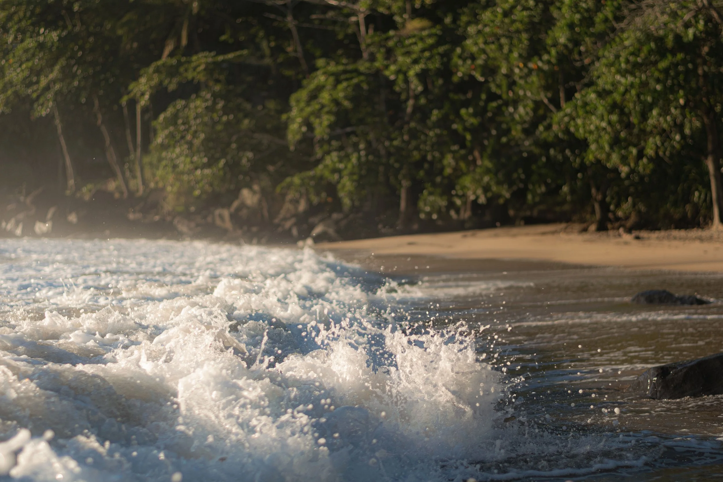 Olá! Somos a Érotique!