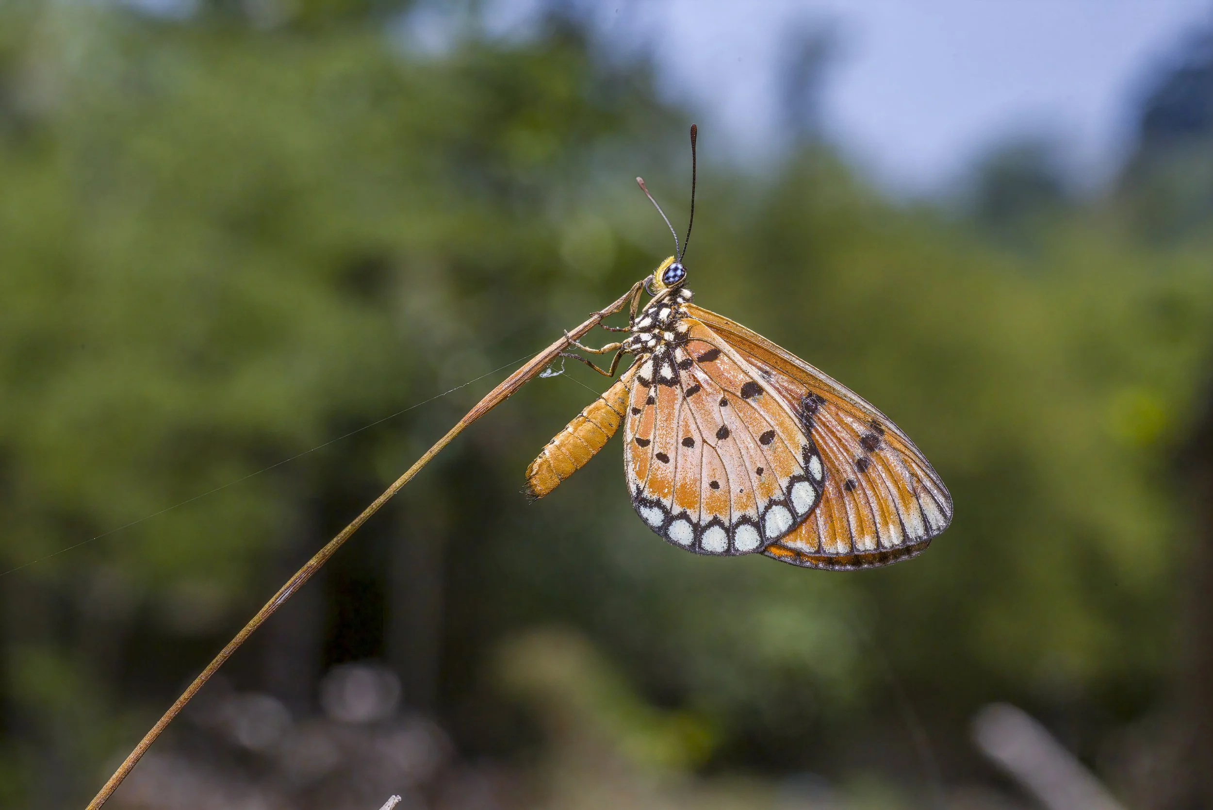 erik_karits-thailand-8299045.jpg