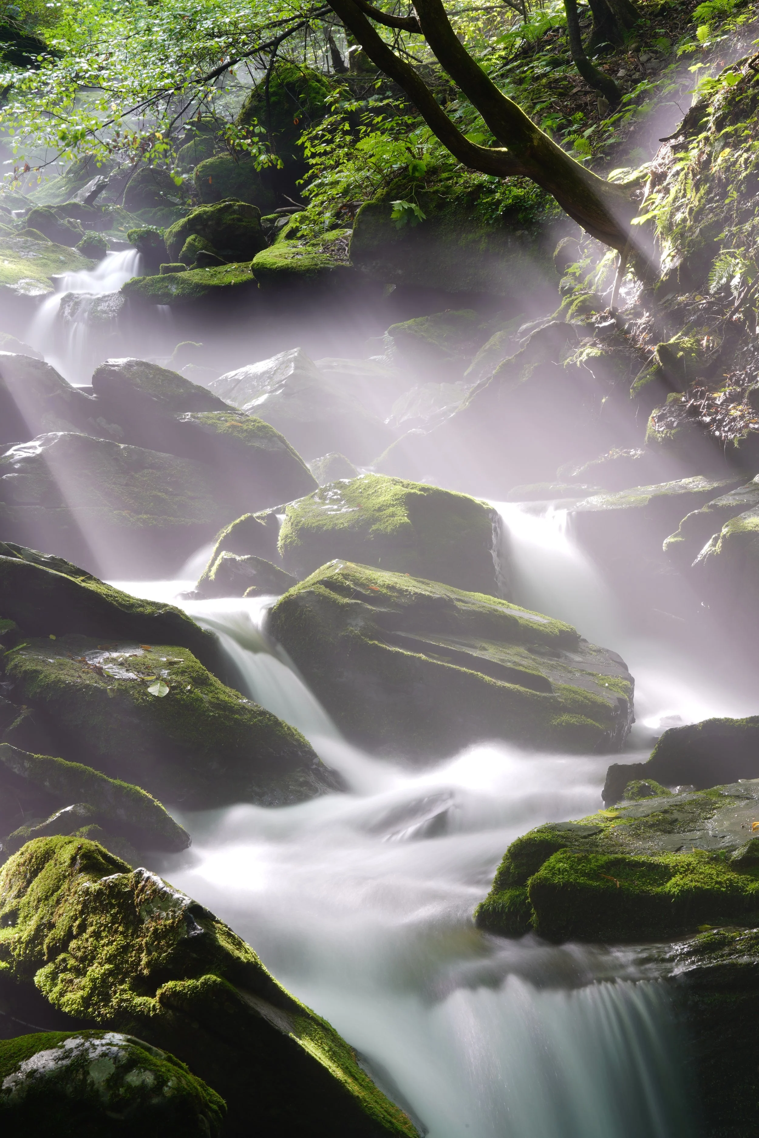 ajs1980518-waterfall-4397970.jpg