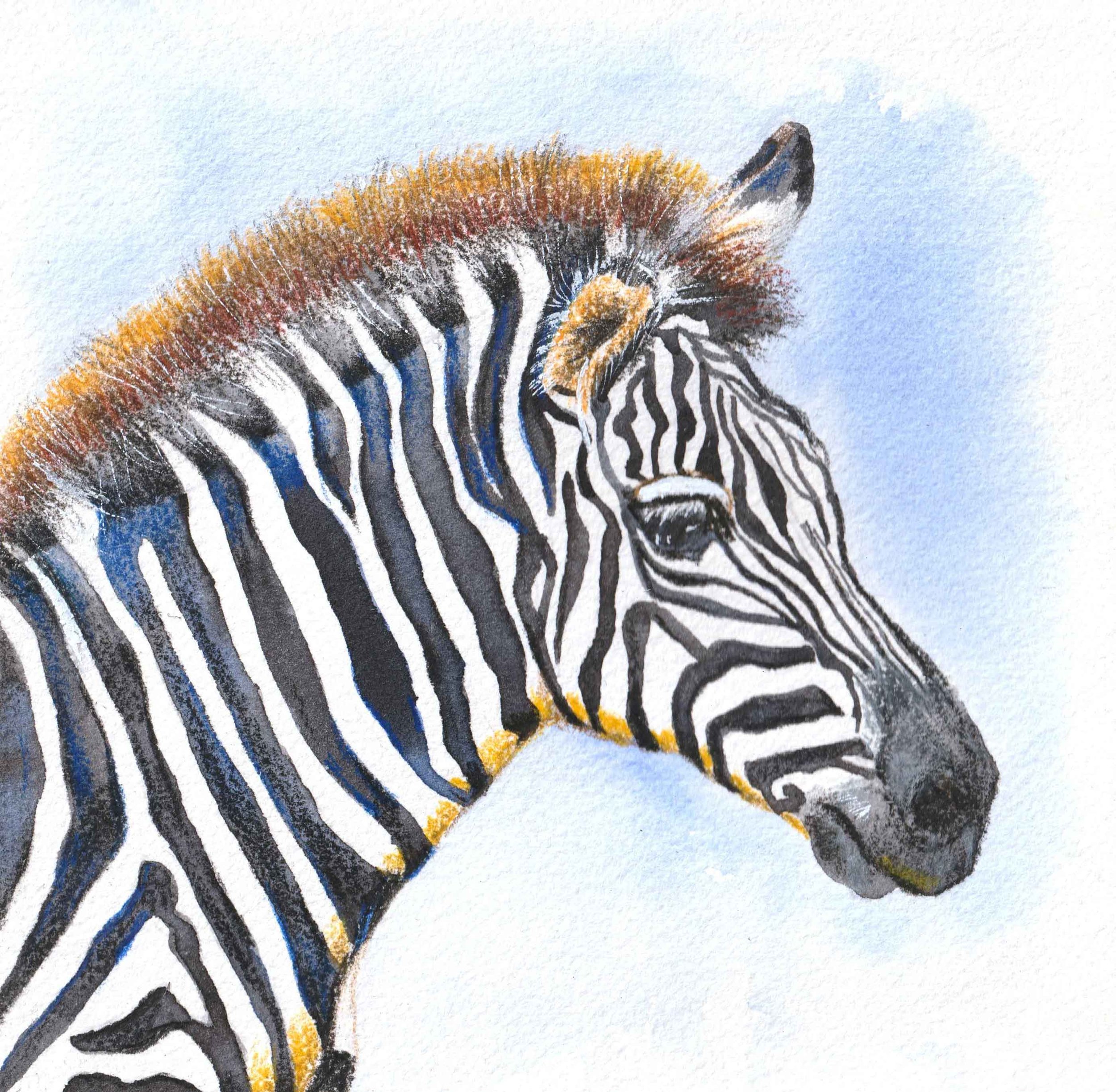 African wildlife