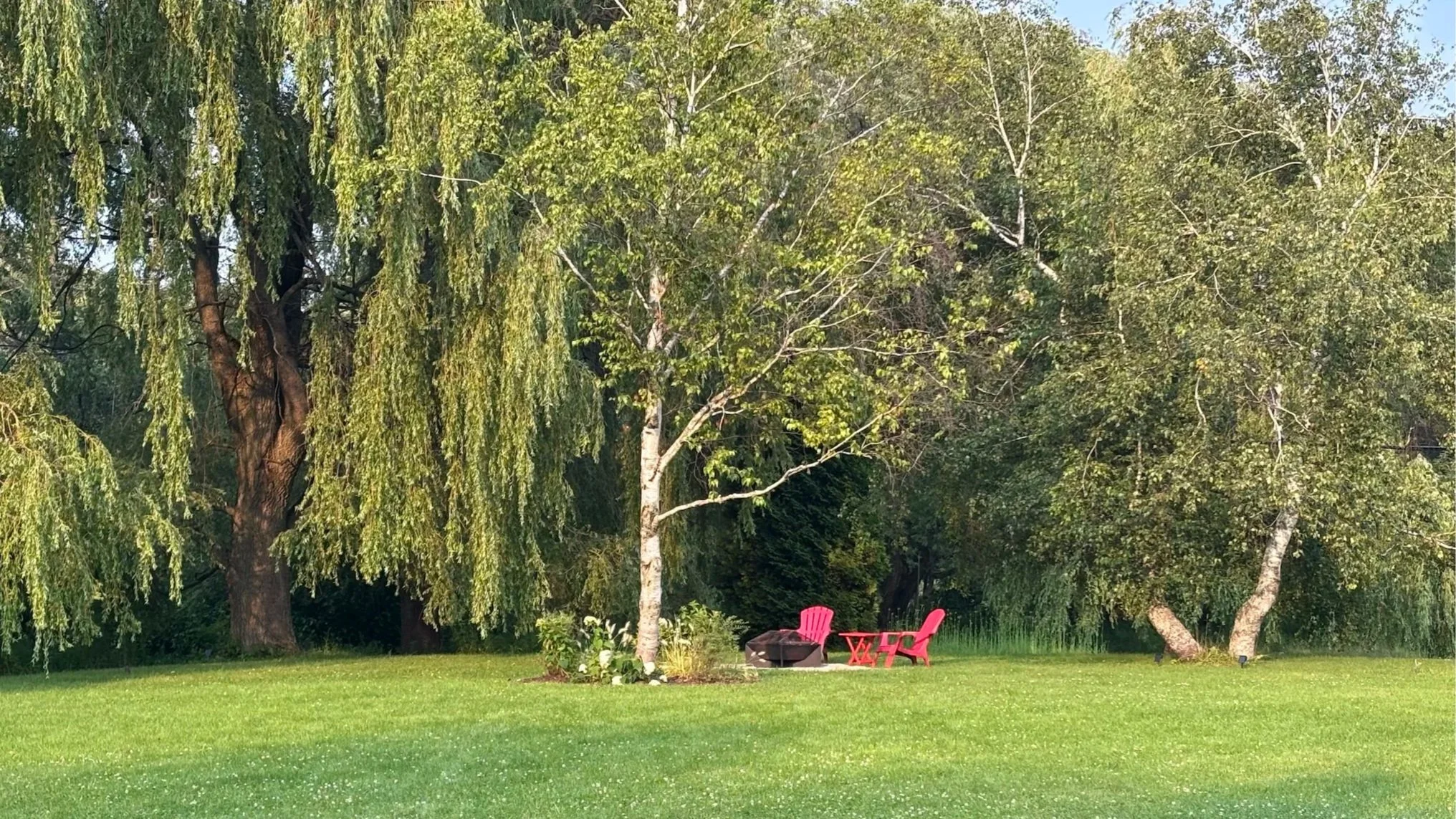 Second campfire site in backyard