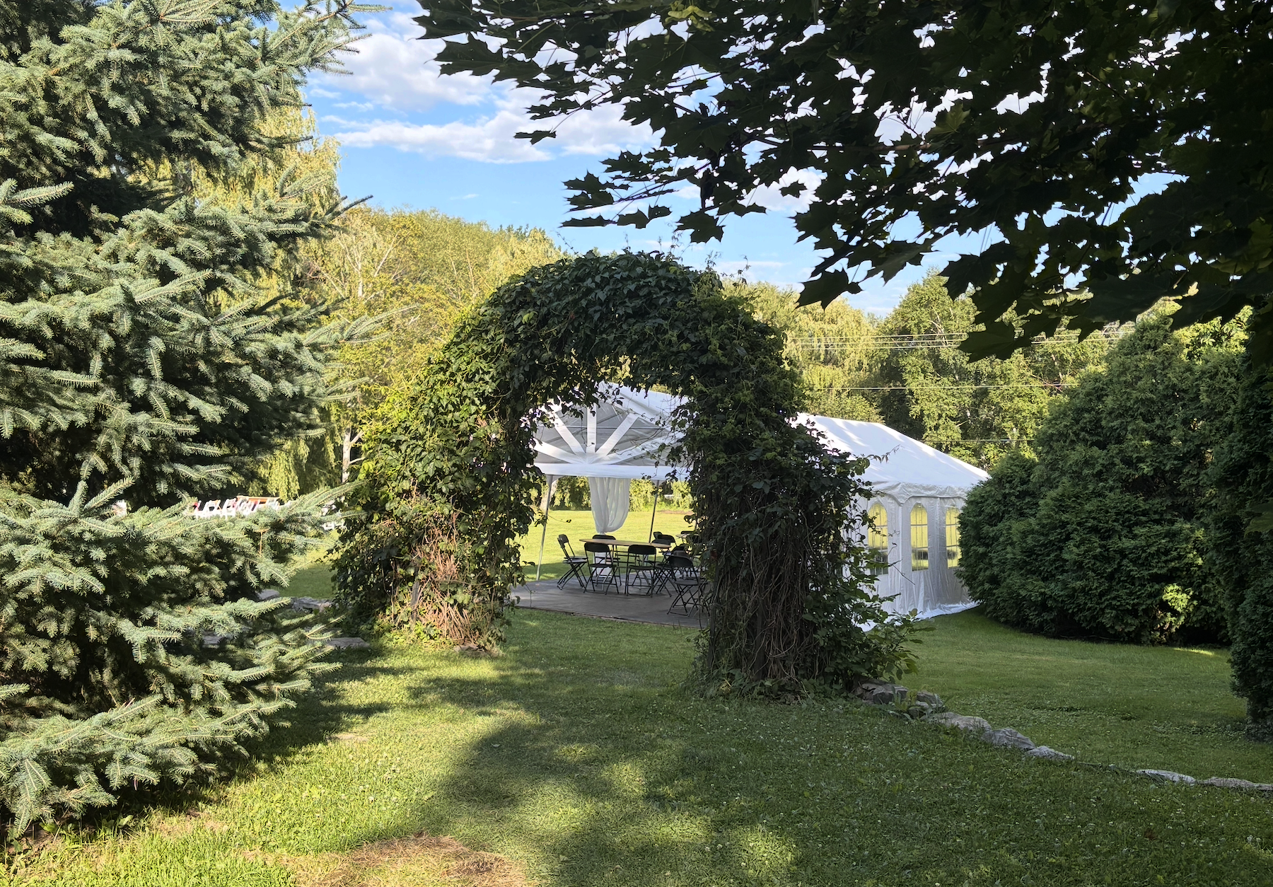 Entering backyard through the leafy archway