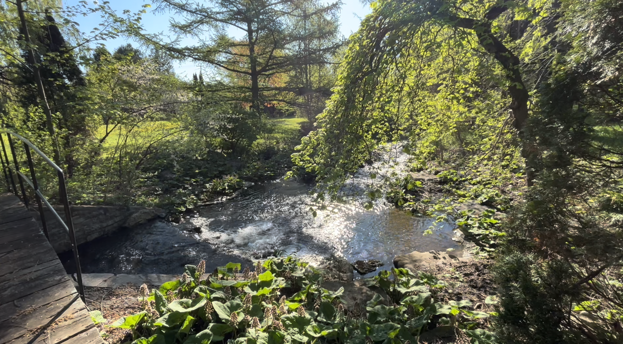 River video pic background.png