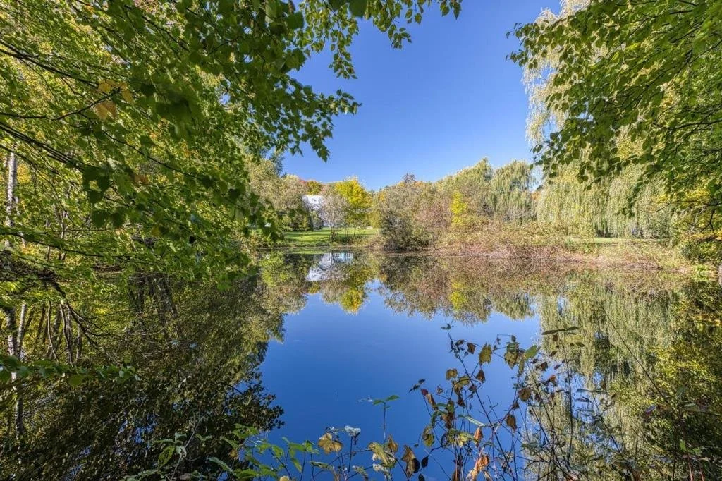 Natural pond in backyard.