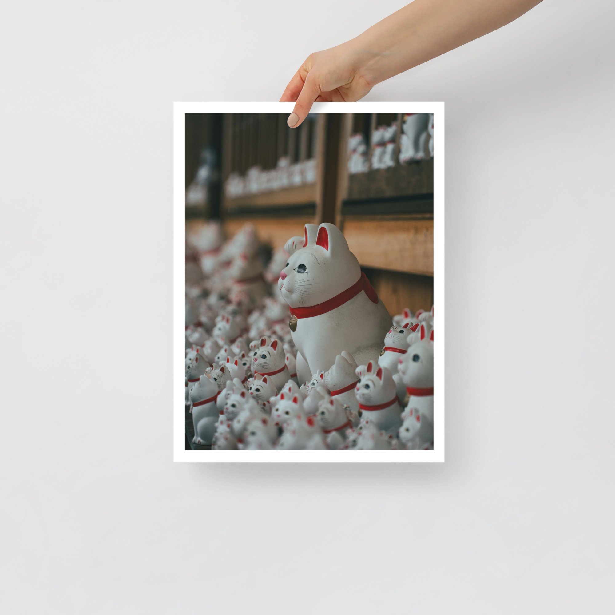 enhanced-matte-paper-poster-(in)-12x16-front-6779c4e86648d.jpg