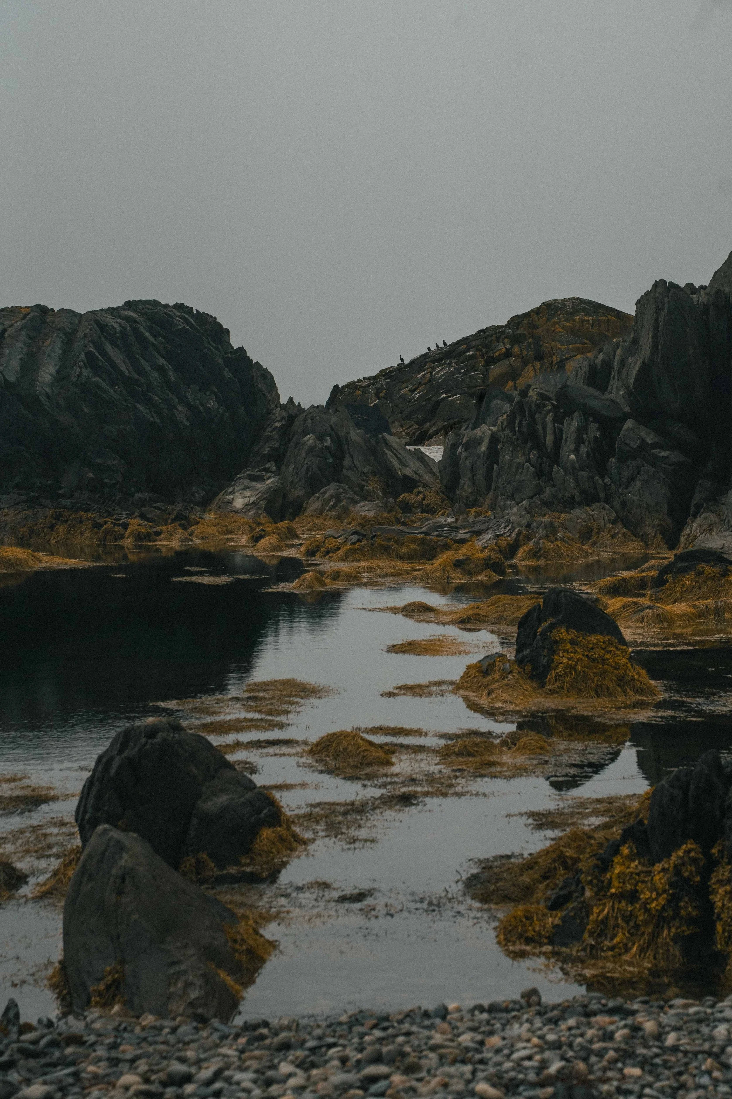 Nova Scotia Travel Guide: Best Things to Do + Sample Itineraries