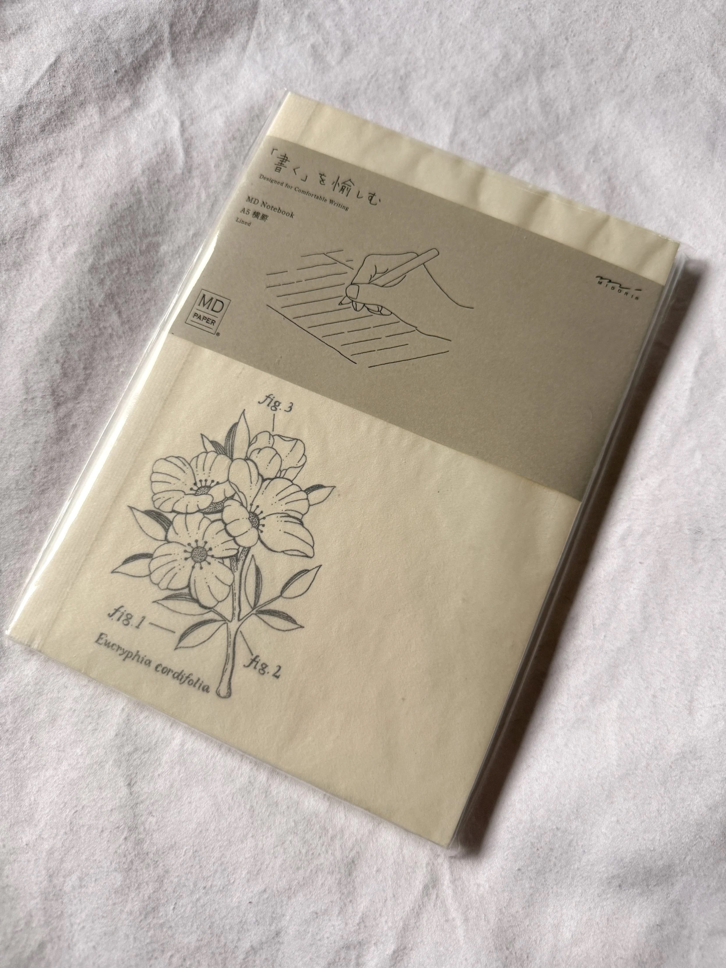 Midori custom Notebook- Eucryphia Cordifolia