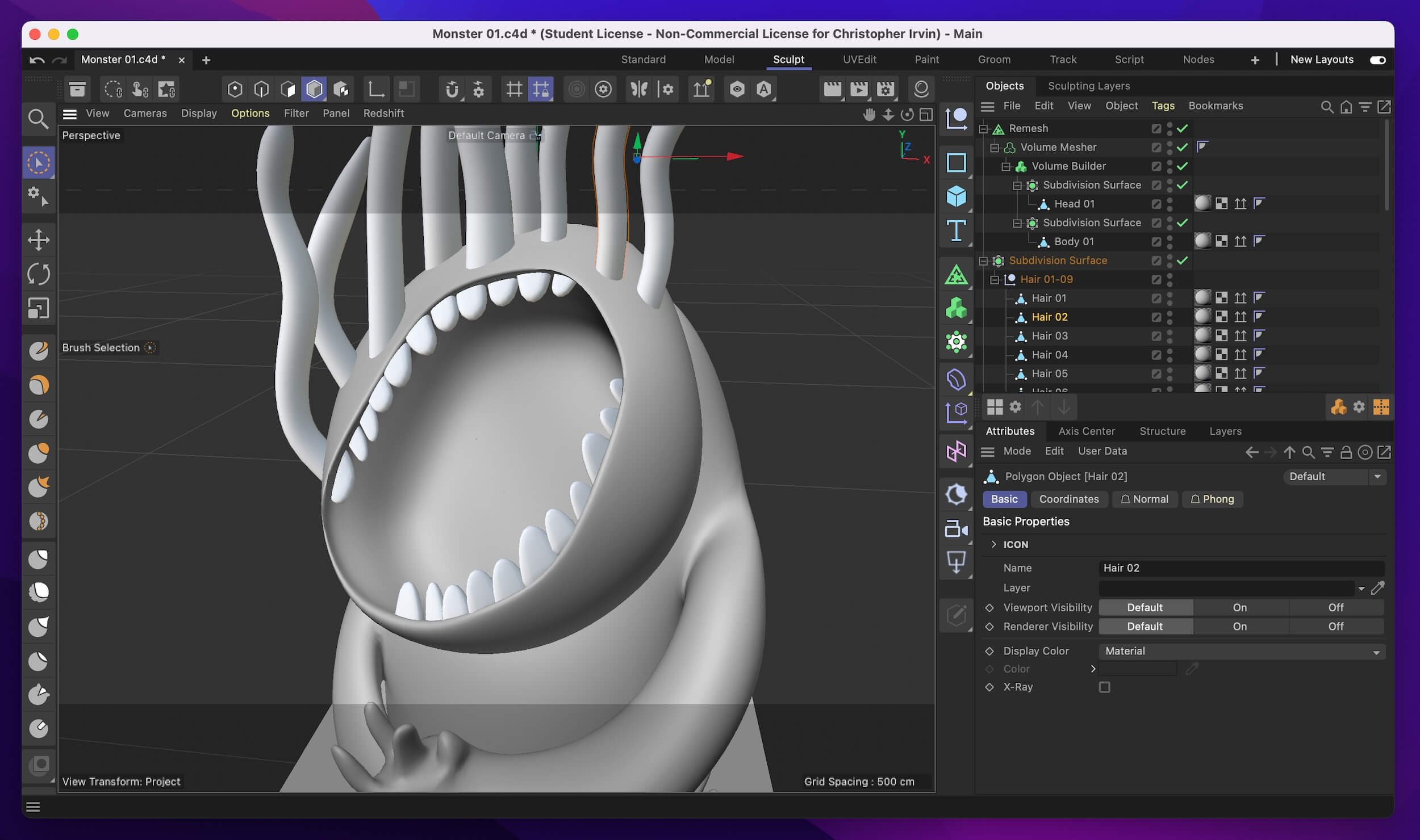 Screen Capture 07.jpeg
