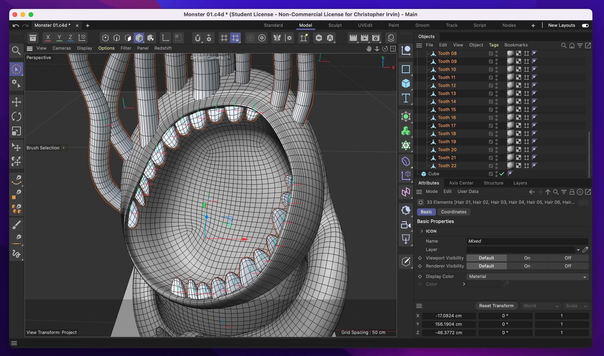 Screen Capture 06.jpeg