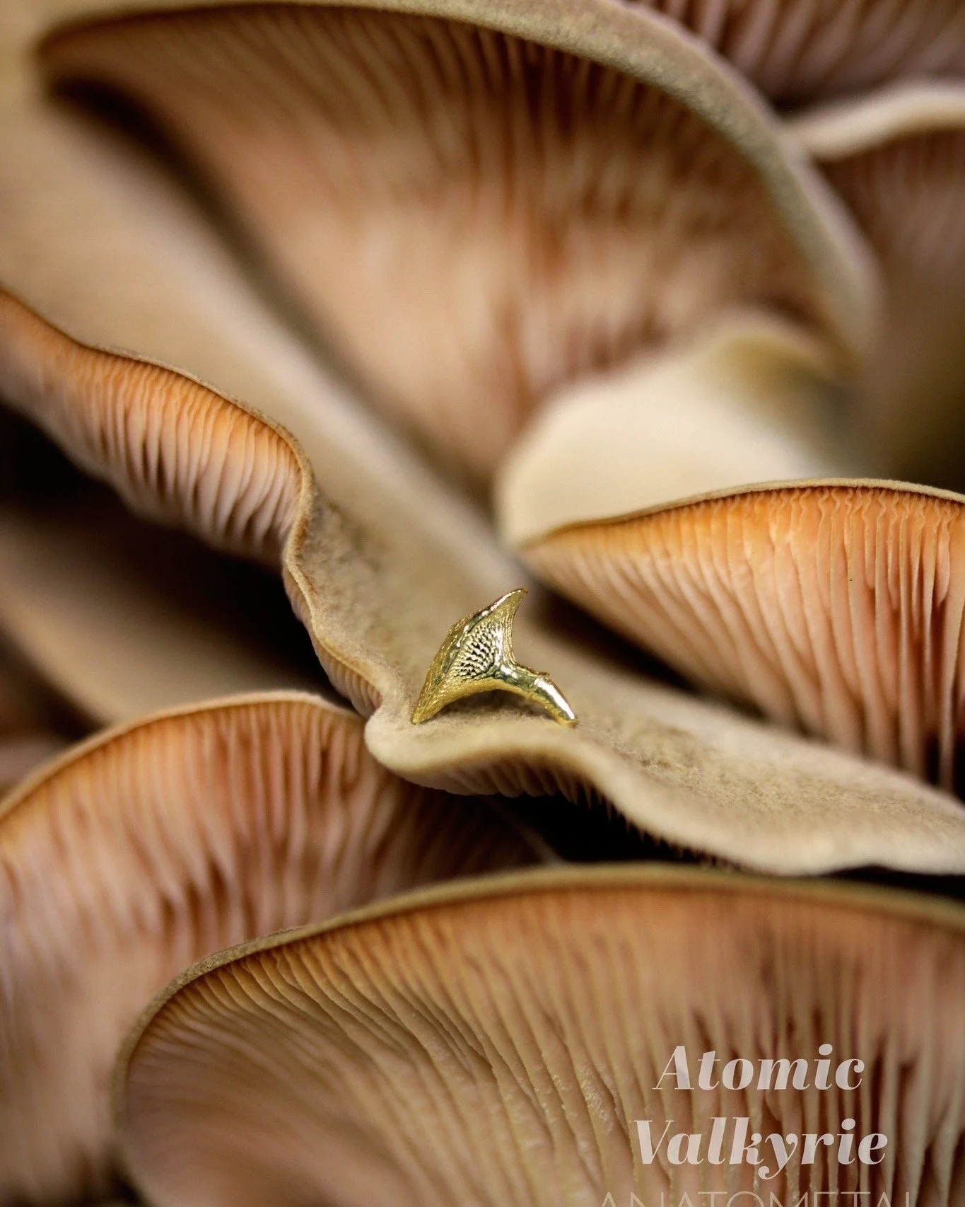 ✨ Golden details for autumn days 🍂 Stop by the shop to check out our 18kt solid gold toppers from luxury brand Anatometal ✨ APP-Certified, high quality, and made to last.
.
#fallaesthetic #autumnvibes #piercingstudio #warnerrobinspiercing #piercings