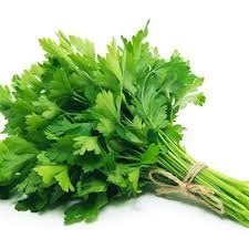 Italian Parsley - Starter Plant