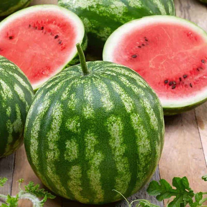 Cal Sweet Watermelon - Starter Plant