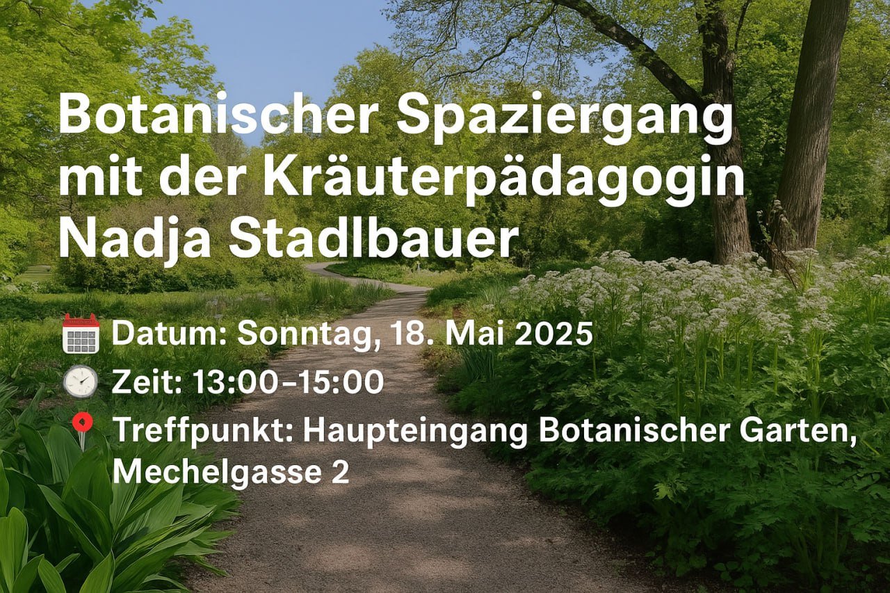 Botanischer Spaziergang mit der Kräuterpädagogin Nadeschda Stadlbauer