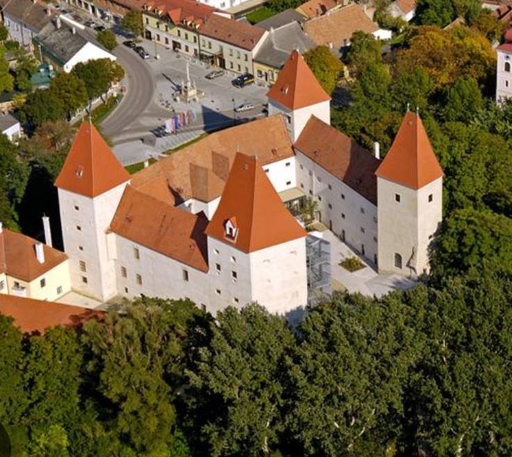 Spaziergang im Nationalpark Donau-Auen – Natur, Schloss Orth und gemeinsames Picknick