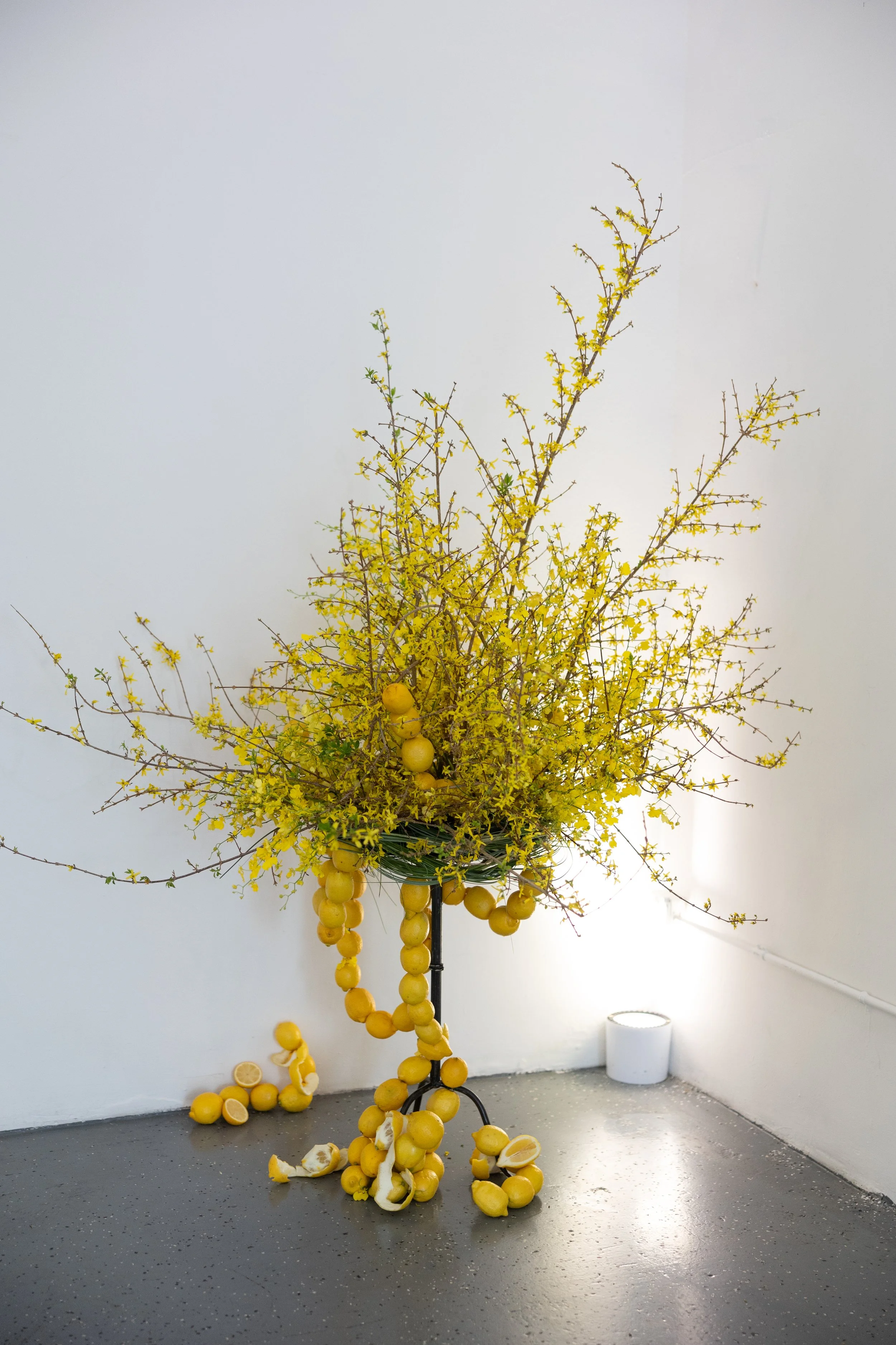 M+HGallery-13851.jpg