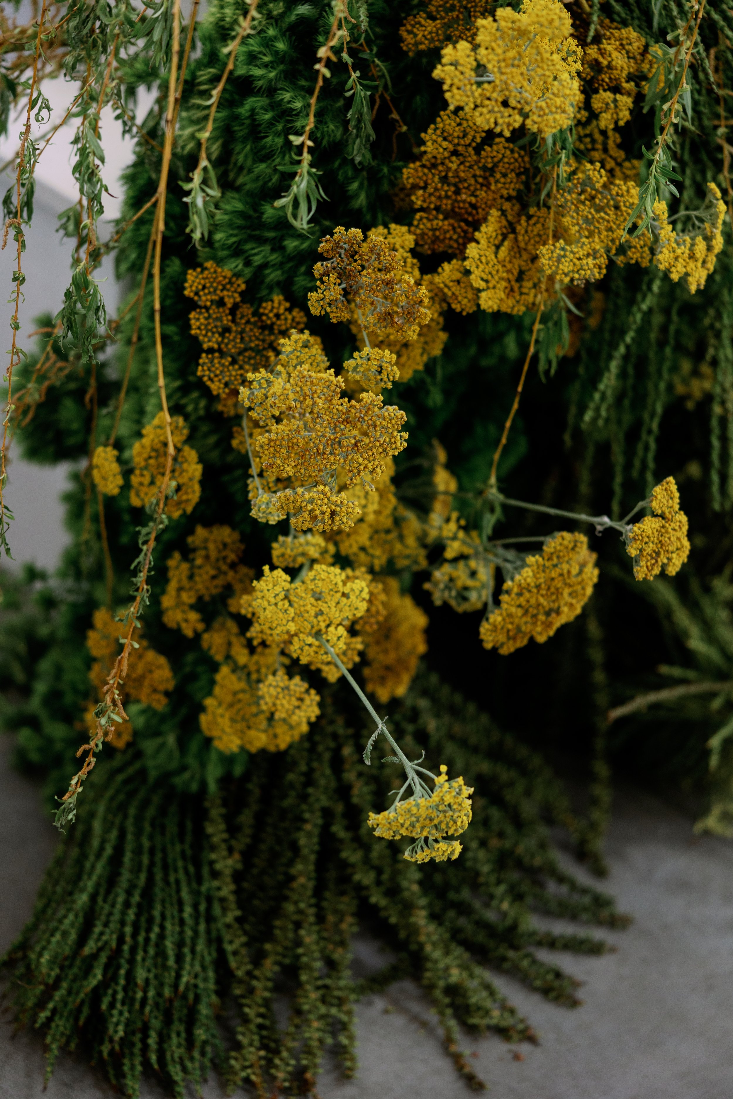 M+HGallery-14081.jpg