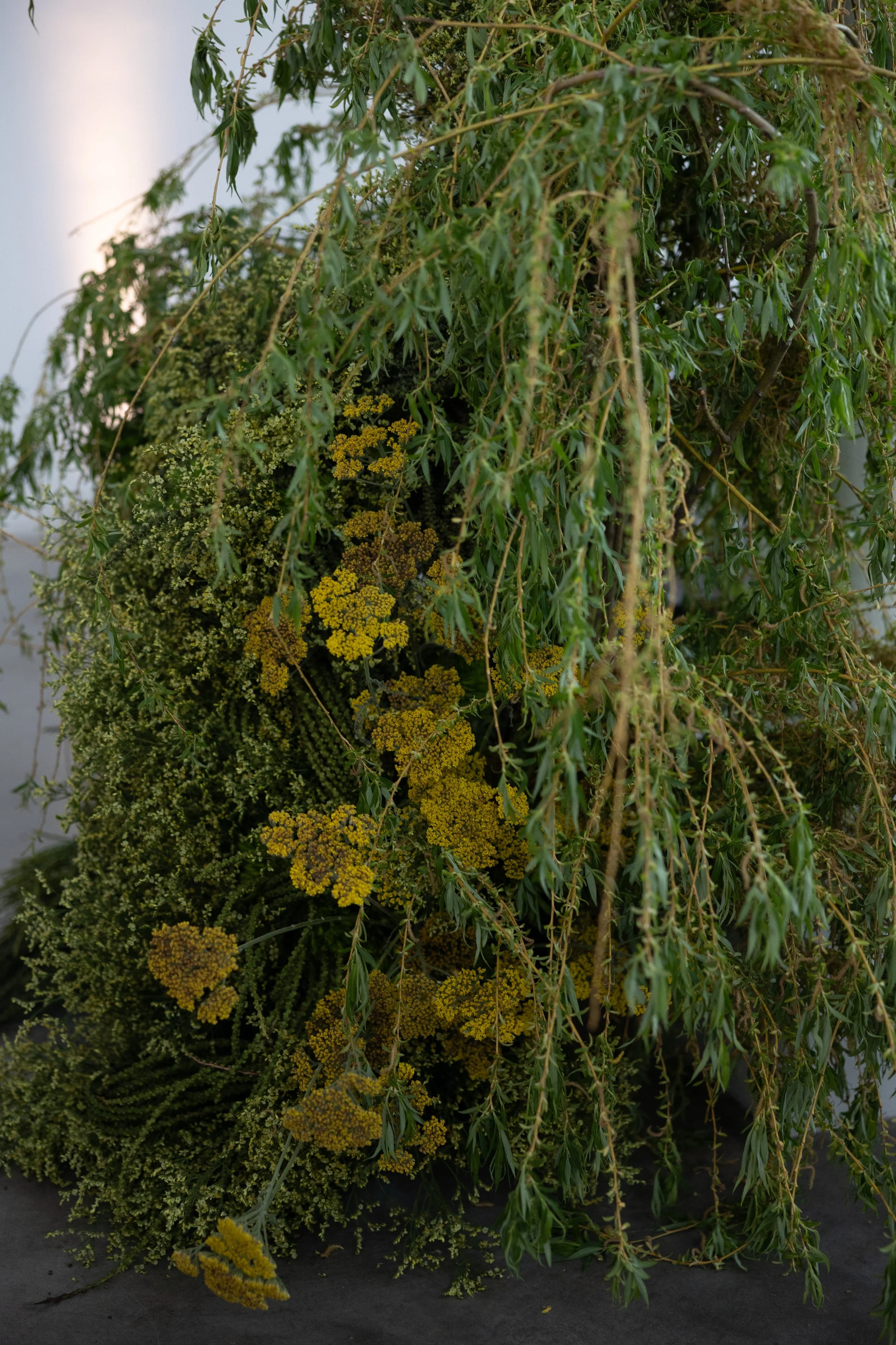 M+HGallery-13875.jpg