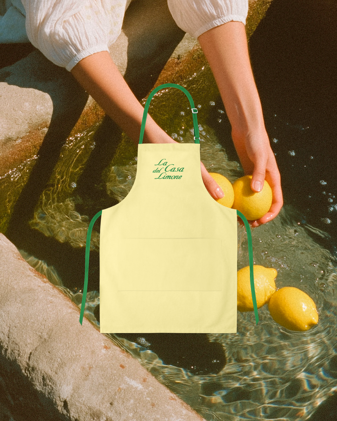 La-Casa-del-Limone-arpon.png