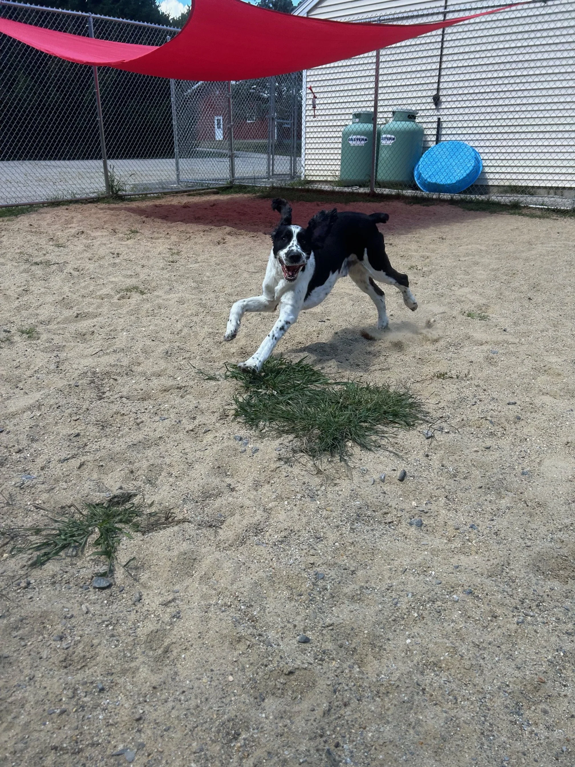 What Sets Our Daycare Apart