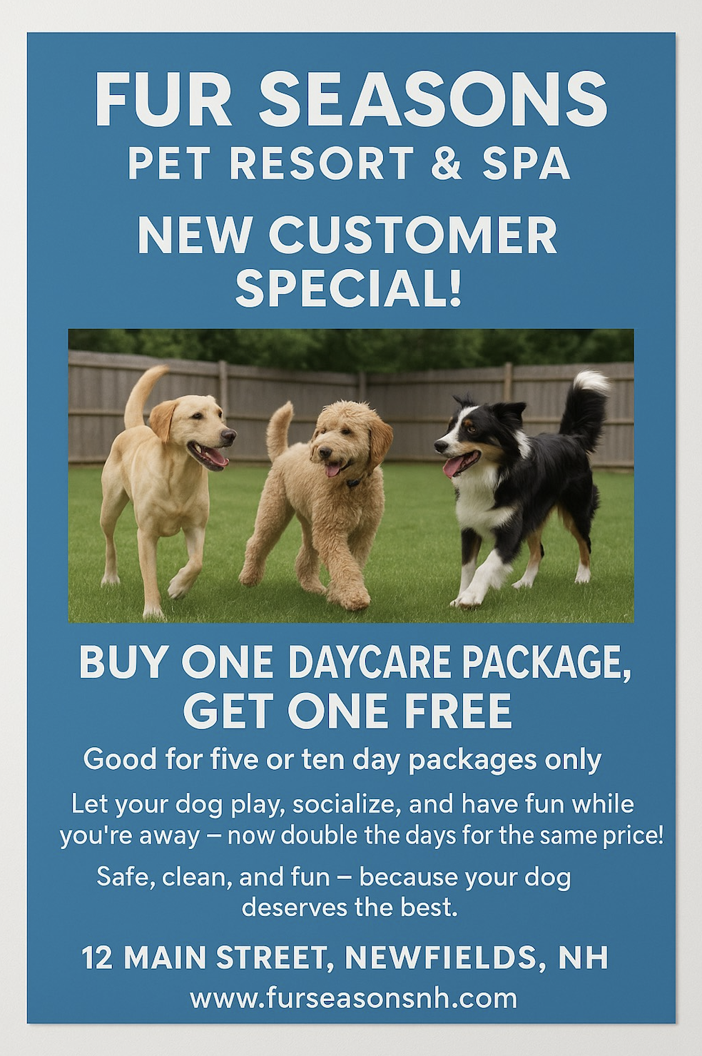Fur Seasons Pet Resort &amp; Spa: Where Pets Feel Right at Home