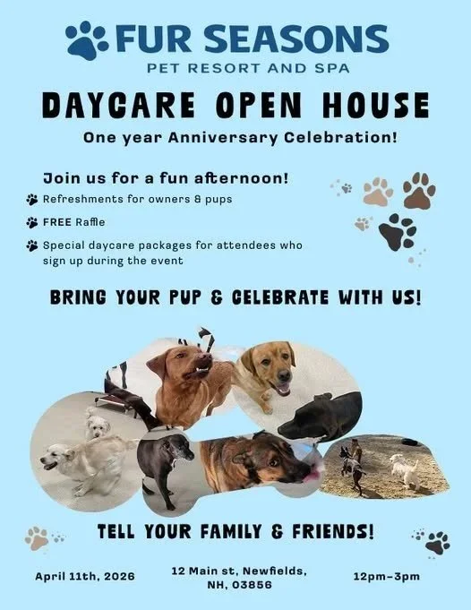 Celebrate One Year of Daycare Fun with Our Open House!