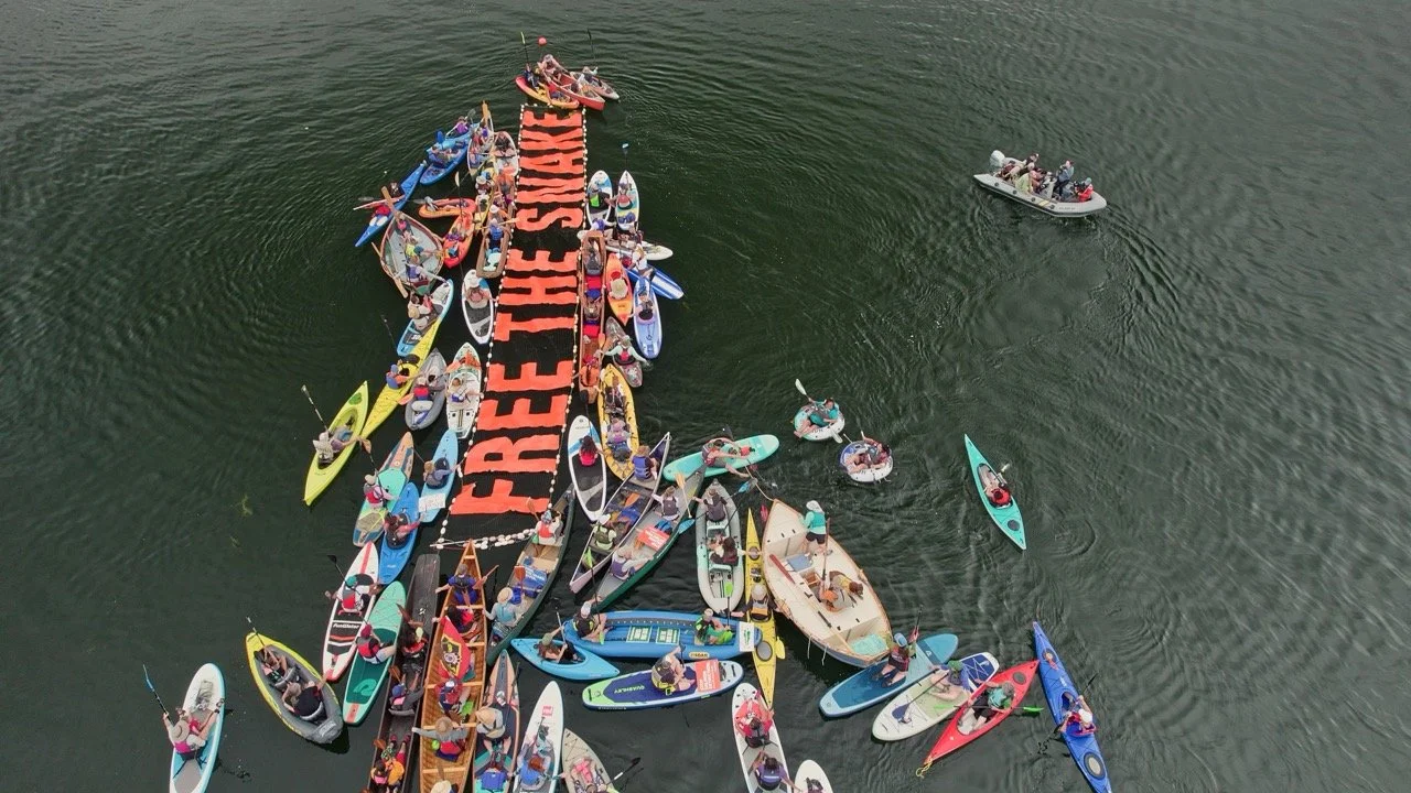 Free the Snake flotilla 