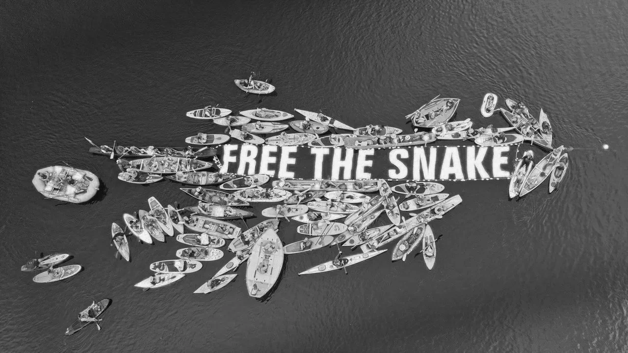 Aerial view of boats on water forming a shape with the words "FREE THE SNAKE" displayed on some of the boats.