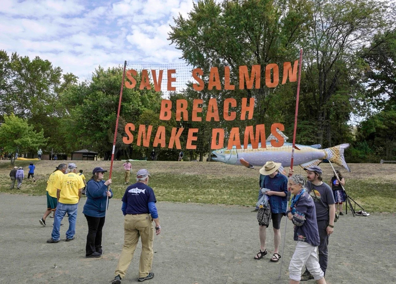 Free the Snake-29 Large.jpeg