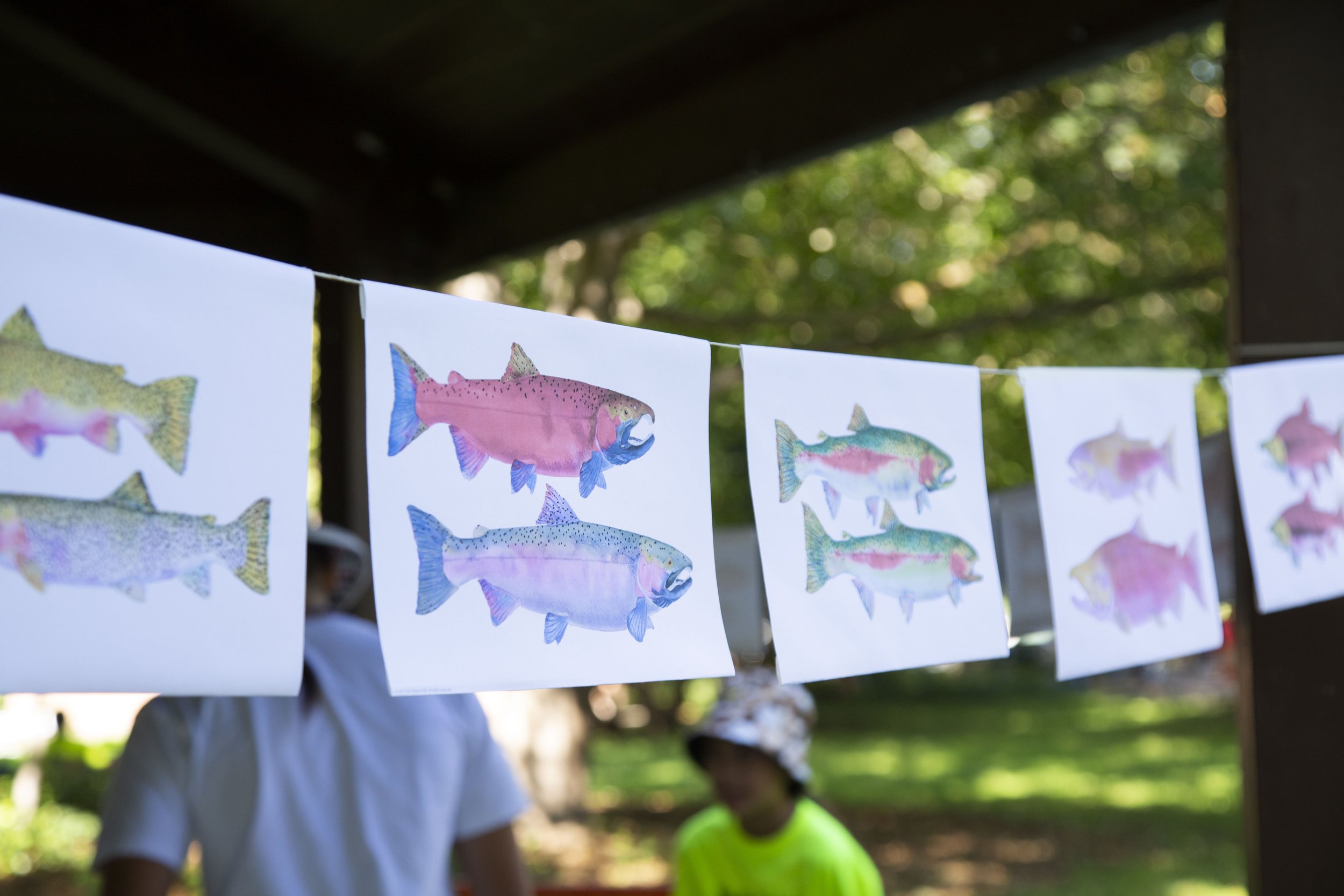 Colorful fish illustrations are hanging on a string outdoors, with trees and people in the background.