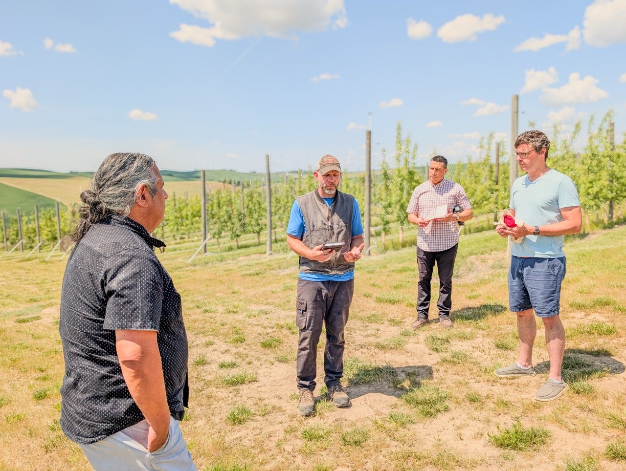 Four men standing in a vineyard on a sunny day, with rolling hills in the background.
