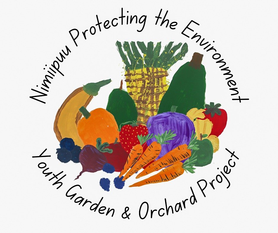 Colorful illustration of various fruits and vegetables, including pineapple, banana, cucumber, tomato, strawberry, blueberries, eggplant, carrots, and peppers, with text around the image that reads 'Nimipuu Protecting the Environment Youth Garden & O