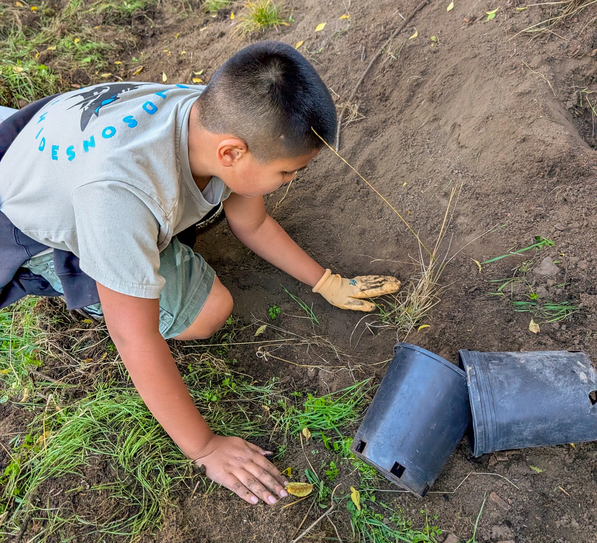 Child planting a seedling in soil, with gardening gloves nearby and dirt patch surrounded by grass