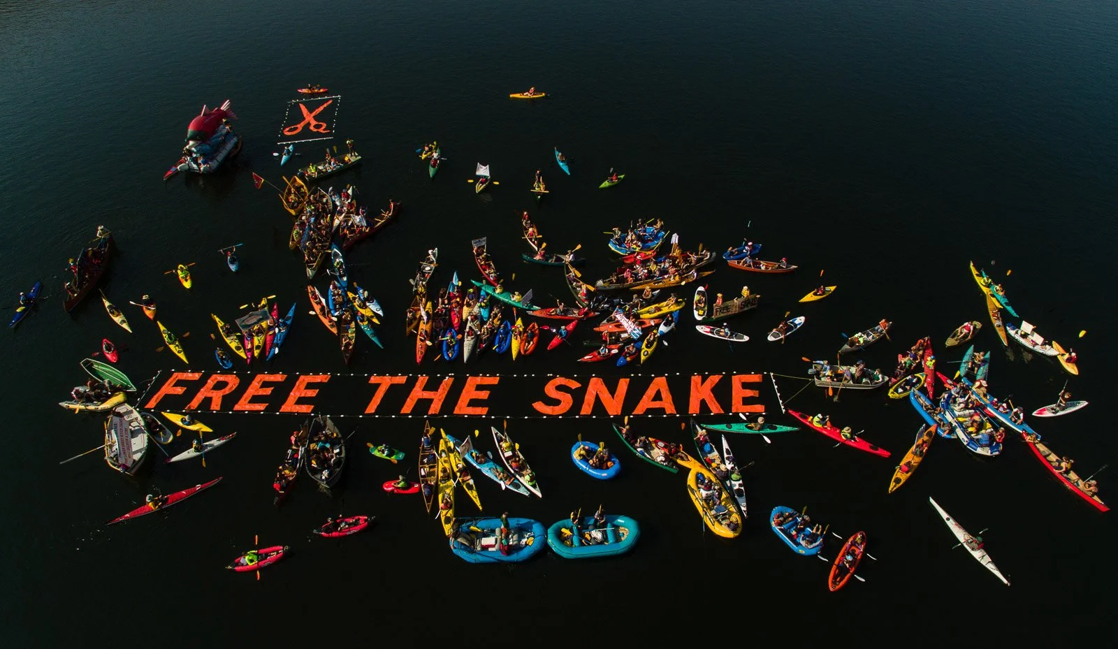 Nimiipuu Protecting the Environment Free the Snake Flotilla. Overhead view of a large group of kayakers in the water forming a protest message that says 'FREE THE SNAKE' with a large inflatable snake.